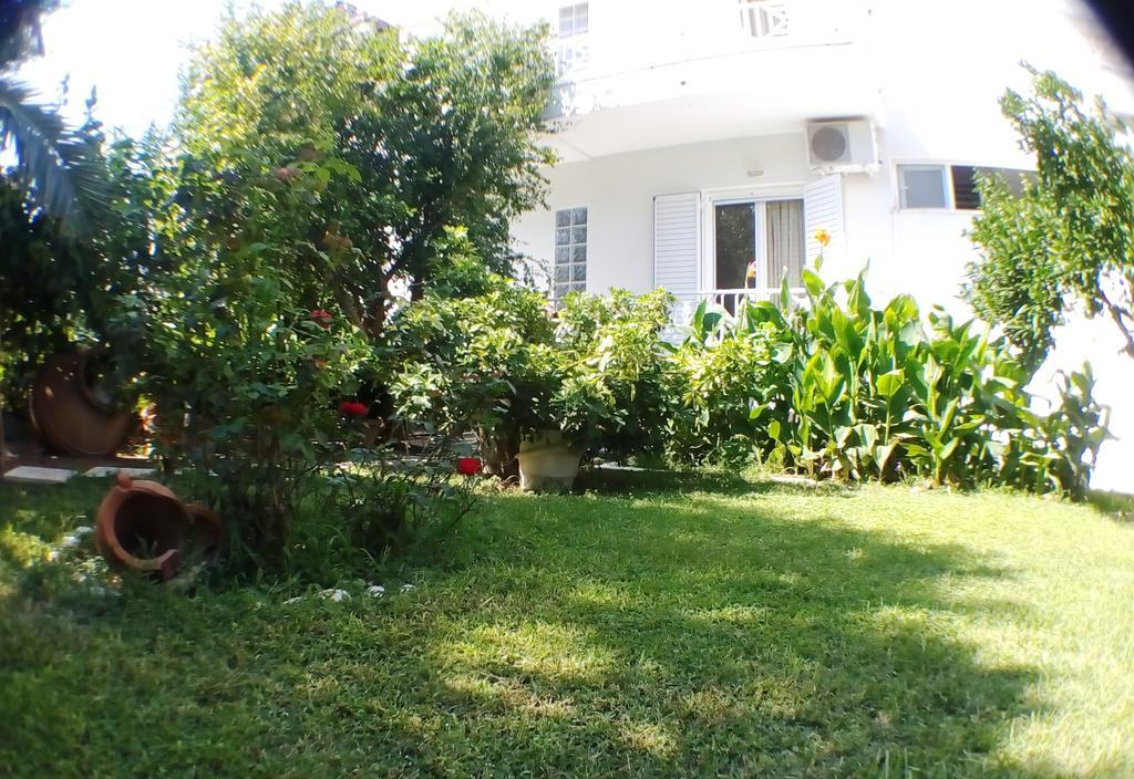 لوترا إديبسو Araliki Apartments & Studios المظهر الخارجي الصورة